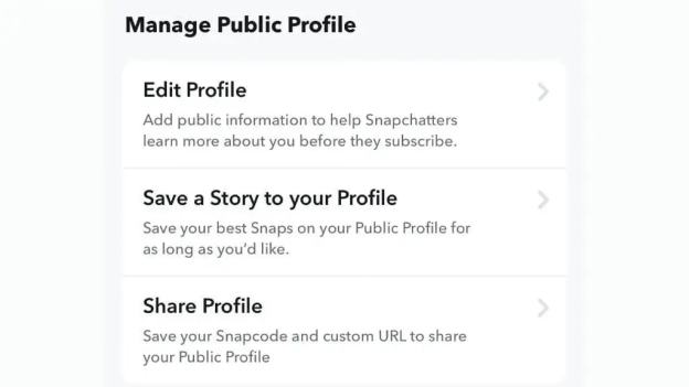 How To Make Public Profile On Snapchat IOS Android 