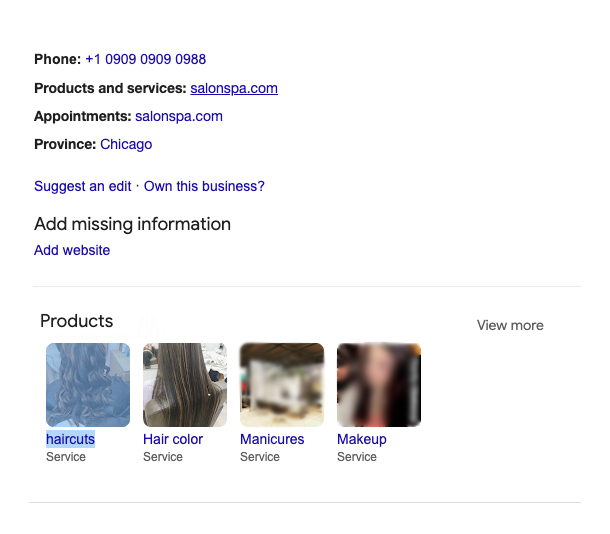 Services on Google My Business Profile