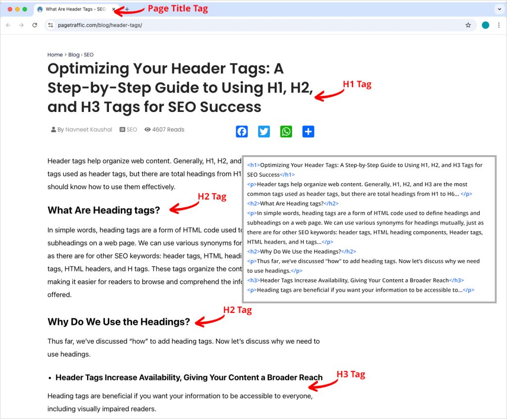 Example of h1 tag SEO