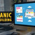 Orgainc Link Building